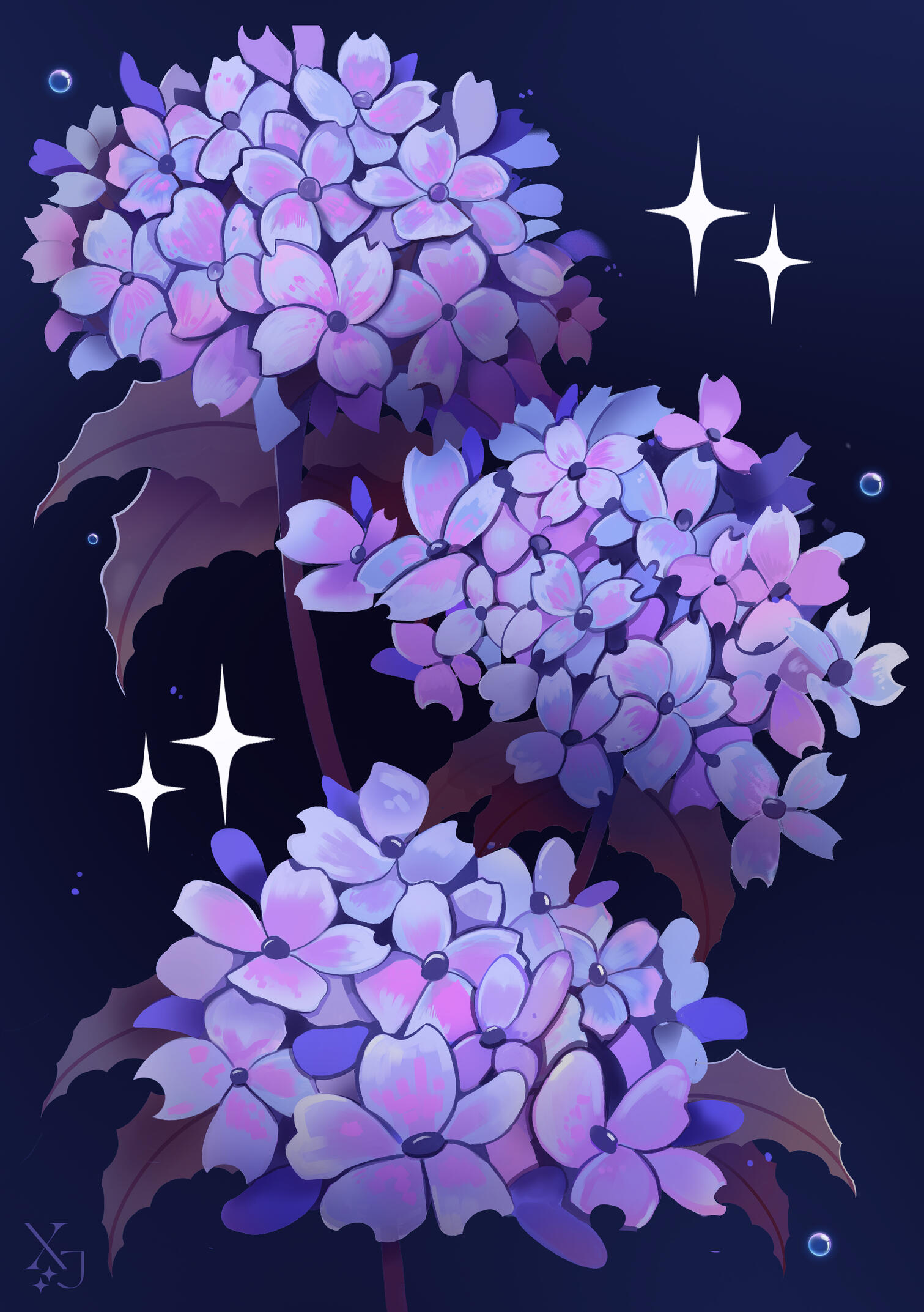 Hortensia - Hydrangea