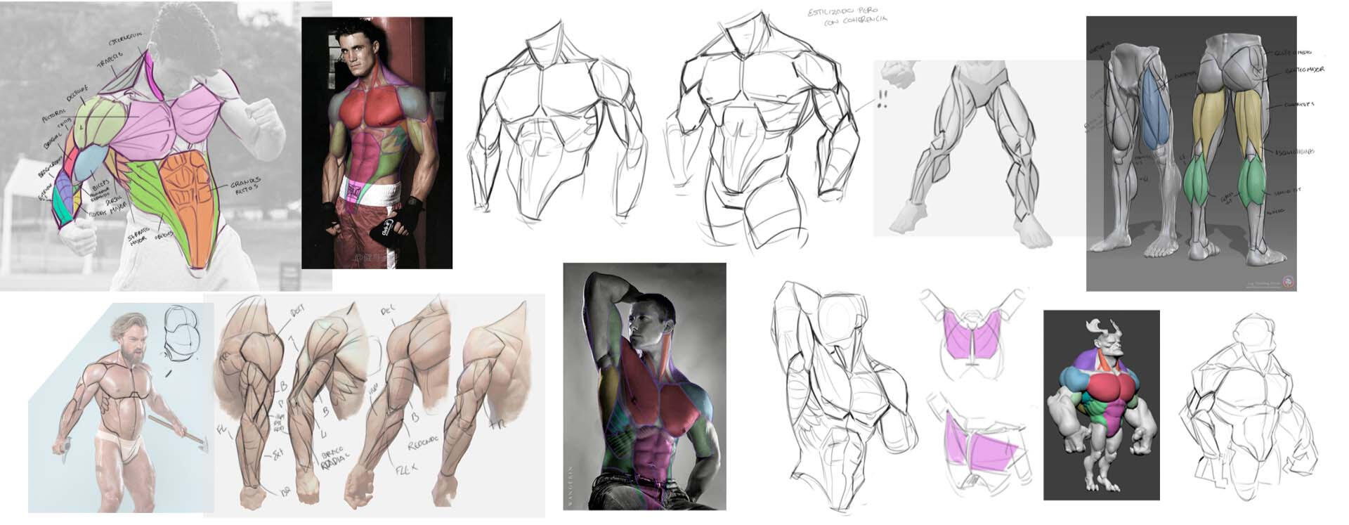 Studies
